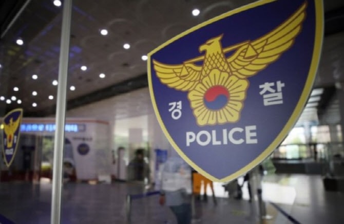 80대 남성 SUV에 치여 사망.."무단횡단 중 사고"