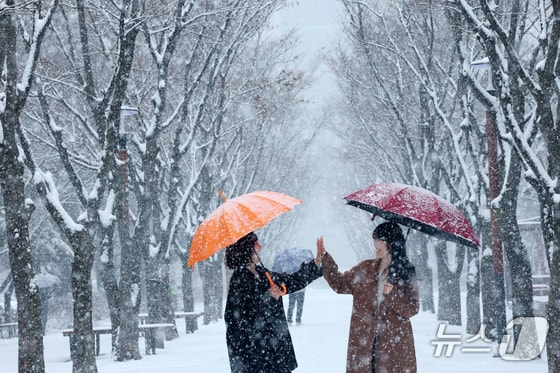 대체공휴일 전국 눈·비…강원 최대 '40㎝' 눈폭탄 [오늘날씨] 