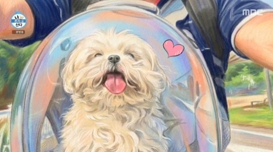 구성환 반려견 꽃분이, '나혼산' 등장…전현무 바자회 A/S [RE:TV]