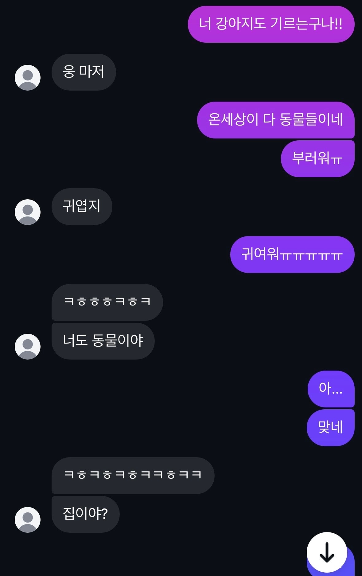 인프제인데 관심 있어 보여? 사진O