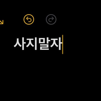 번개장터 왕사남 박지훈 싸인포카 특전