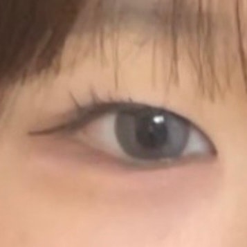 렌즈 뭐가 나아(근데 투표사진 눈 모여있는 사람같음)