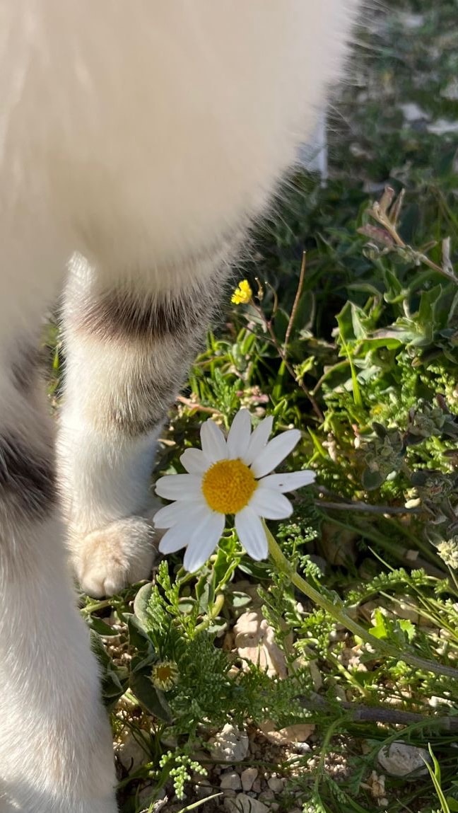 가족끼리 일본여행 vs 제주도여행