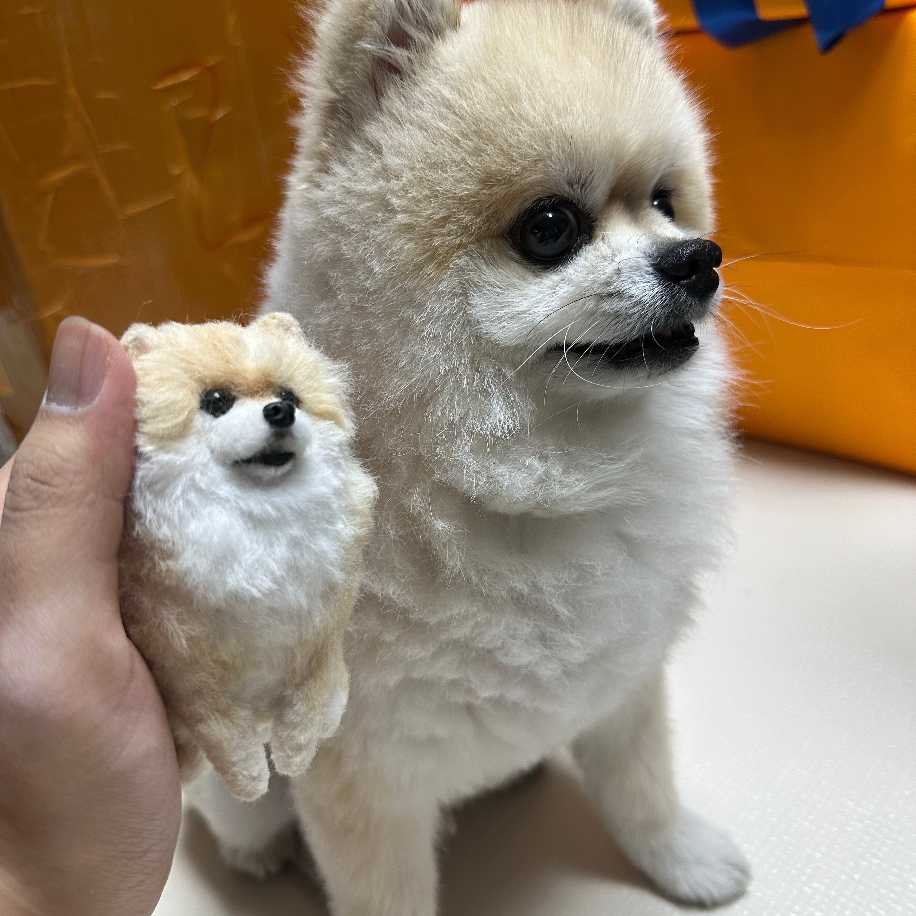 세븐틴 콘서트 가 말아 골라줘