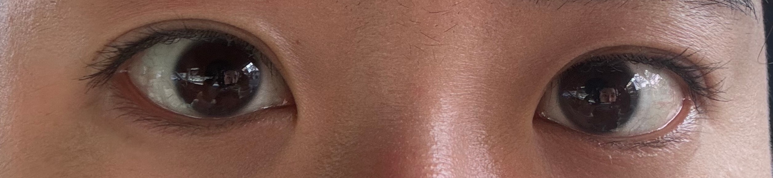 속눈썹 펌? 연장?