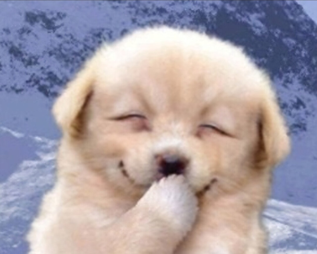 내남친 웃을때 이짤닮앗는데 어때?ㅋㅋ