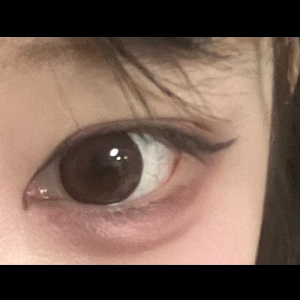 렌즈 골라줘(개눈 주의 ! ! !