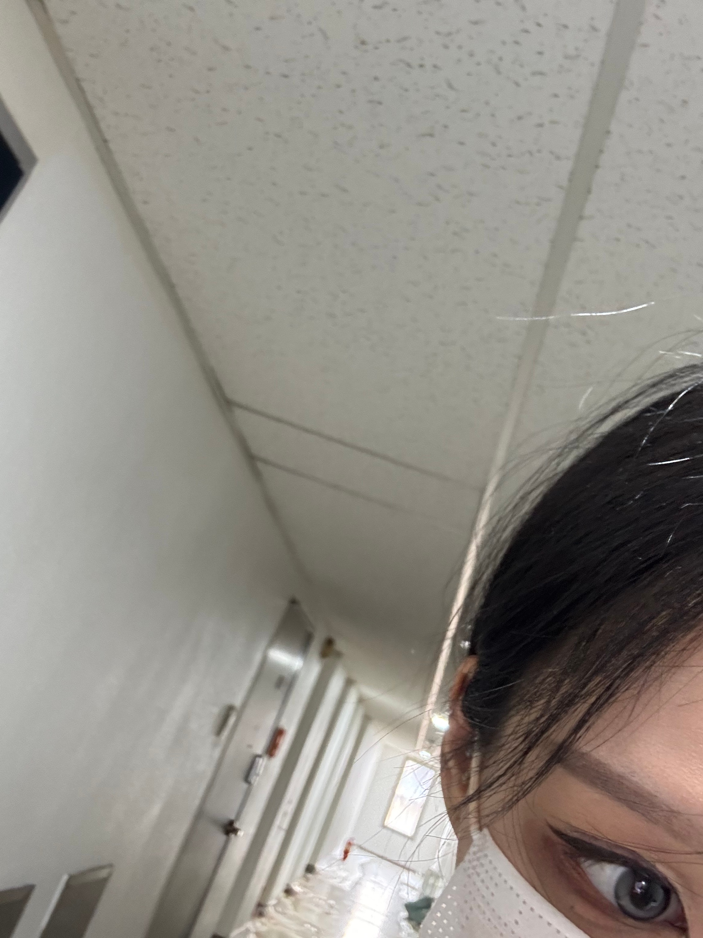 그냥 오랜만에 일상..