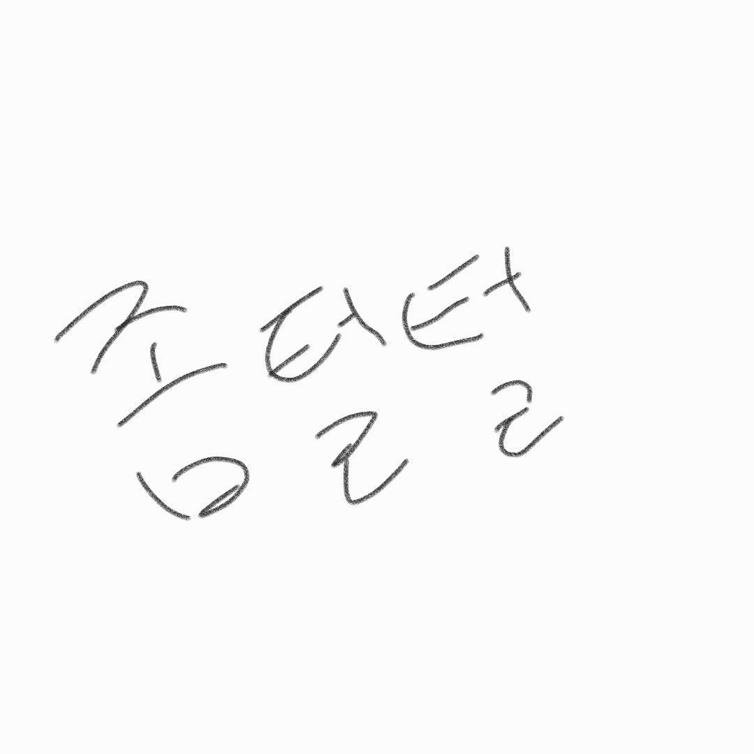 언니들은