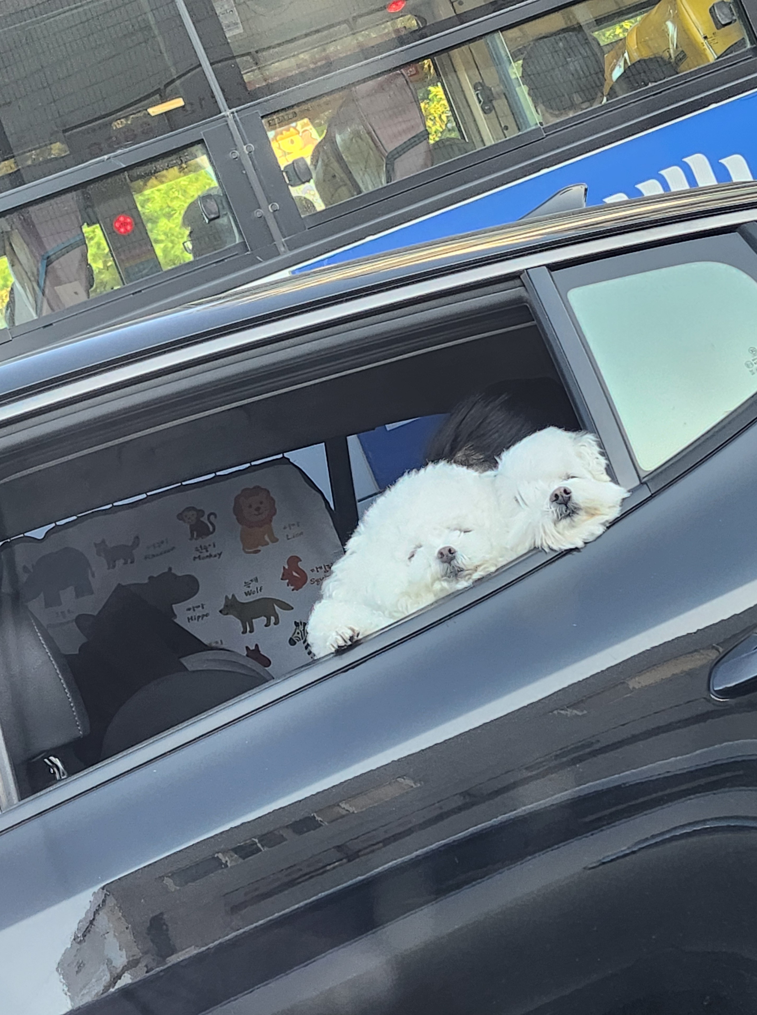 어제 차타고 가다가